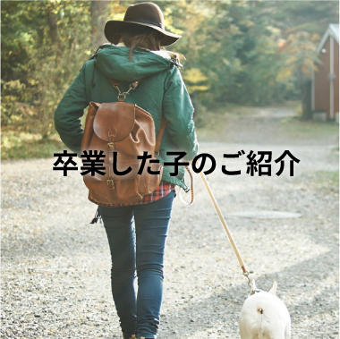 保護犬活動のご紹介